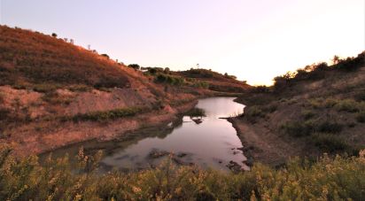 Domaine T2 à Silves de 220 m²