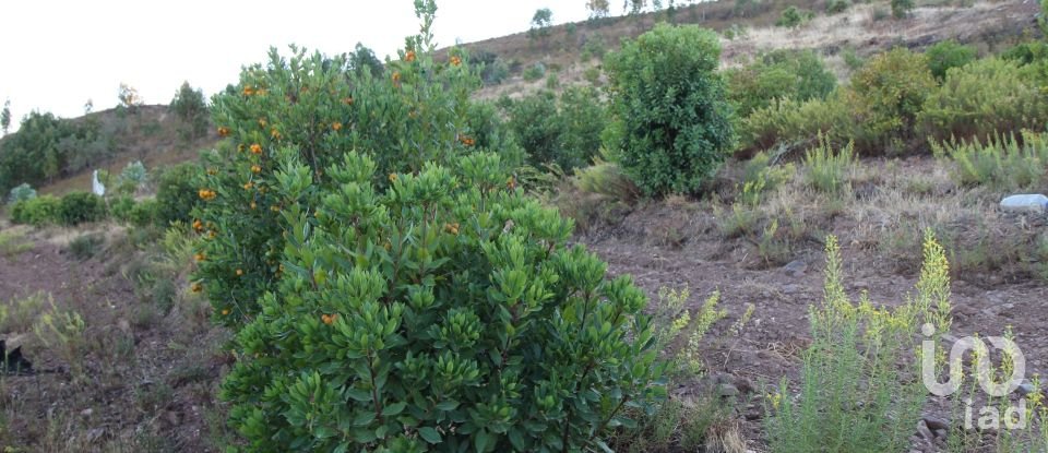 Domaine T2 à Silves de 220 m²