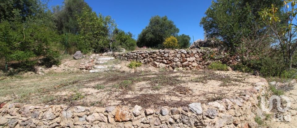 Moradia T3 em São Bartolomeu de Messines de 181 m²