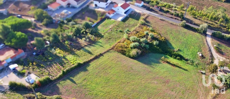 Land in Lamas e Cercal of 8,880 m²
