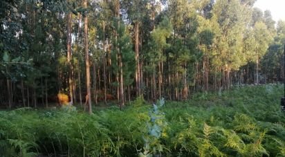 Terrain à bâtir à Cardielos e Serreleis de 882 m²