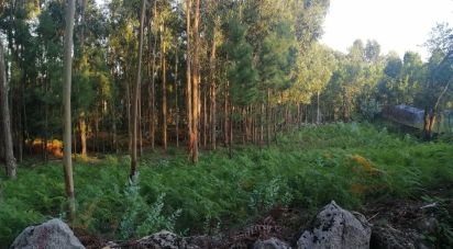 Terrain à bâtir à Cardielos e Serreleis de 882 m²