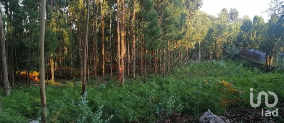 Terrain à bâtir à Cardielos e Serreleis de 882 m²