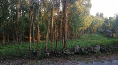 Terrain à bâtir à Cardielos e Serreleis de 882 m²