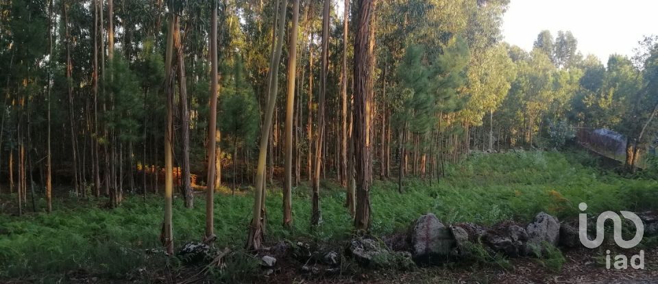 Terrain à bâtir à Cardielos e Serreleis de 882 m²