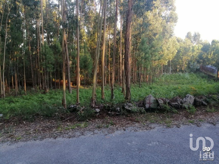 Terrain à bâtir à Cardielos e Serreleis de 882 m²