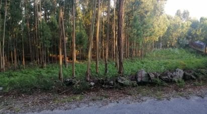 Terrain à bâtir à Cardielos e Serreleis de 882 m²