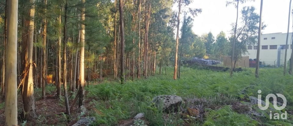 Terrain à bâtir à Cardielos e Serreleis de 882 m²