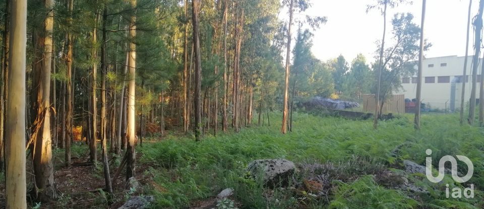 Terrain à bâtir à Cardielos e Serreleis de 882 m²