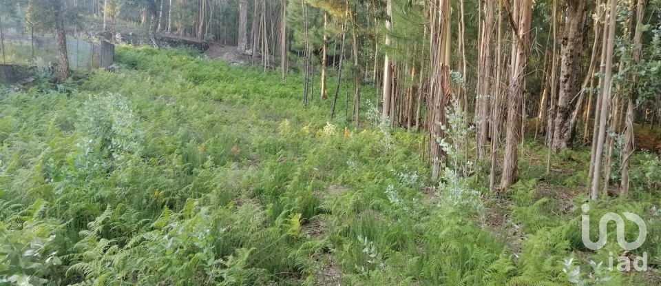 Terrain à bâtir à Cardielos e Serreleis de 882 m²