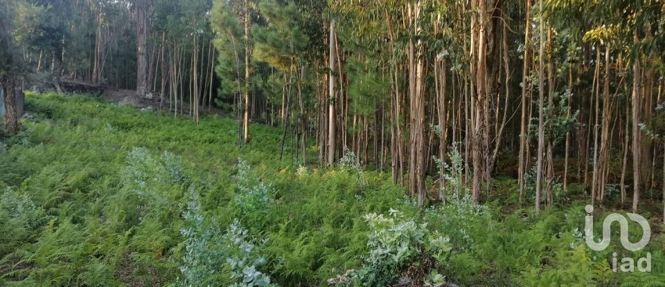 Terrain à bâtir à Cardielos e Serreleis de 882 m²