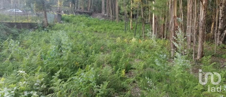 Terrain à bâtir à Cardielos e Serreleis de 882 m²