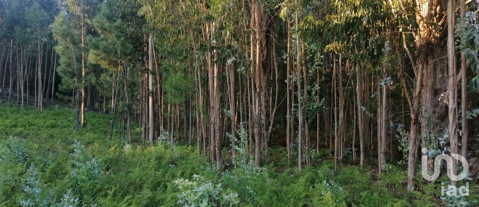 Terrain à bâtir à Cardielos e Serreleis de 882 m²