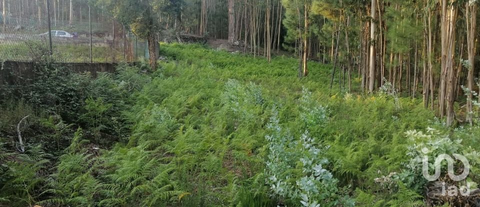 Terrain à bâtir à Cardielos e Serreleis de 882 m²