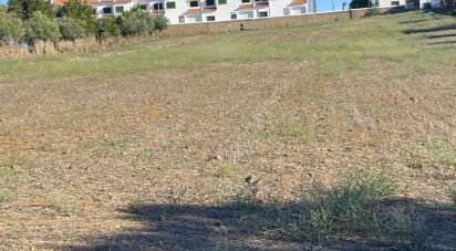 Terrain à Ciladas de 6 500 m²