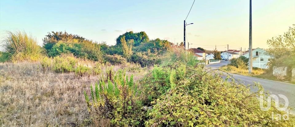 Terrain à bâtir à Salir de Matos de 701 m²