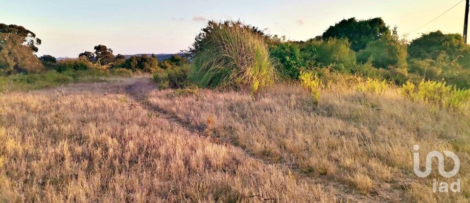 Terrain à bâtir à Salir de Matos de 701 m²