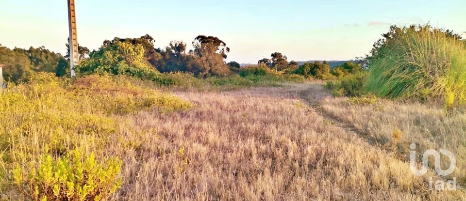 Terrain à bâtir à Salir de Matos de 701 m²