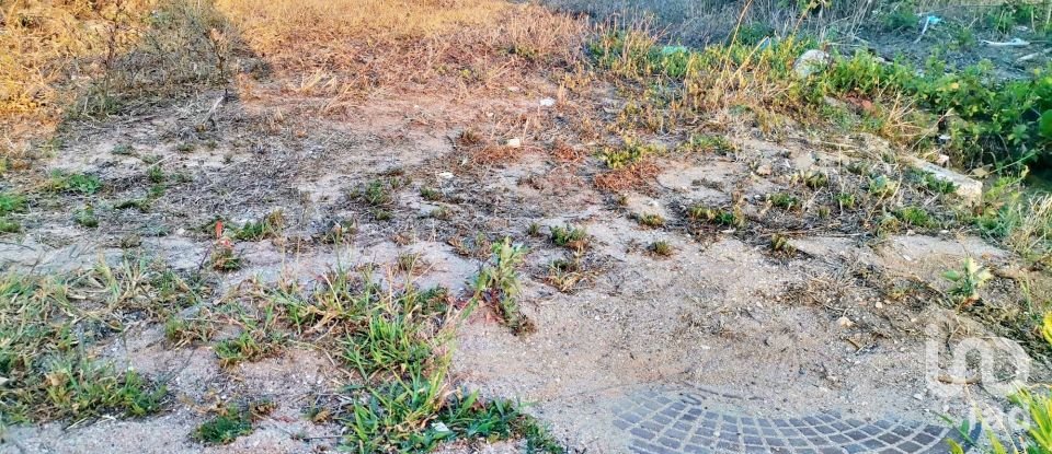 Terrain à bâtir à Salir de Matos de 701 m²