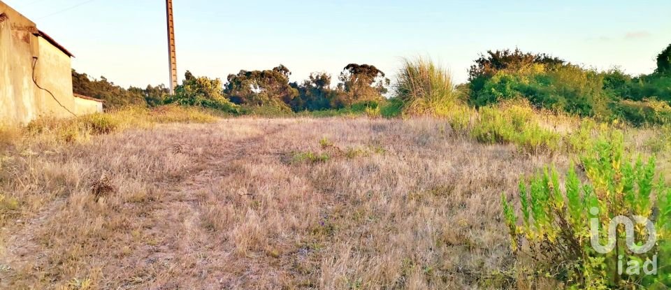 Terrain à bâtir à Salir de Matos de 701 m²