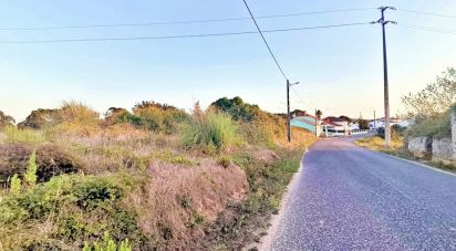 Terrain à bâtir à Salir de Matos de 701 m²