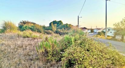 Terrain à bâtir à Salir de Matos de 701 m²