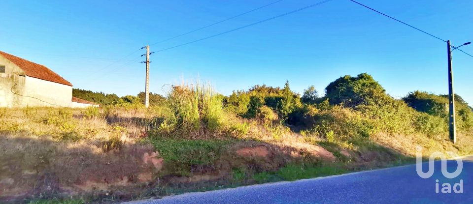 Terrain à bâtir à Salir de Matos de 701 m²