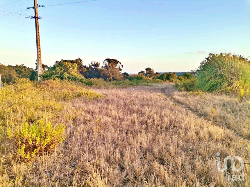 Terrain à bâtir à Salir de Matos de 701 m²
