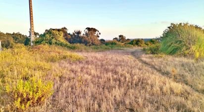 Terrain à bâtir à Salir de Matos de 701 m²