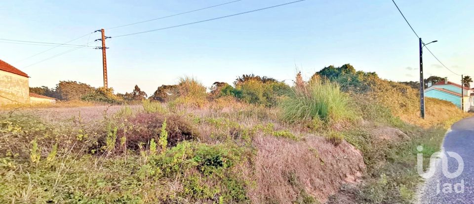 Terrain à bâtir à Salir de Matos de 701 m²