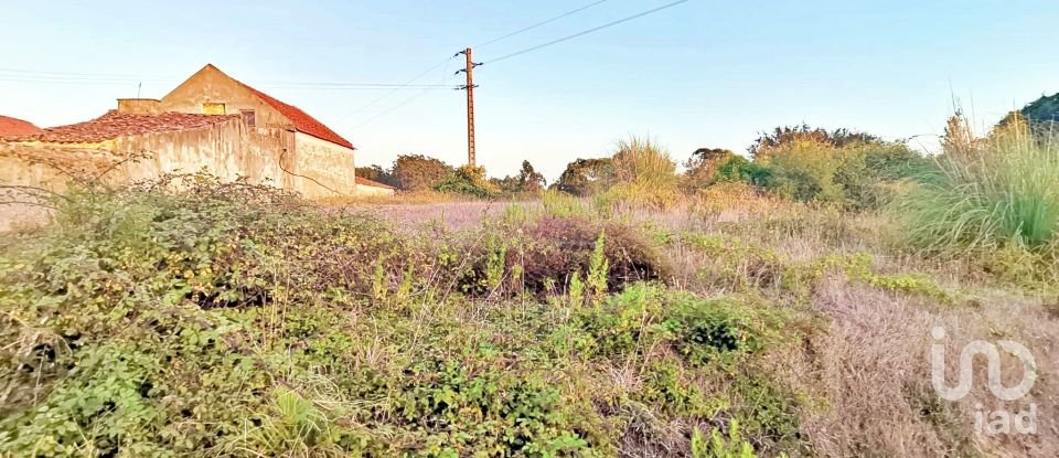 Terrain à bâtir à Salir de Matos de 701 m²