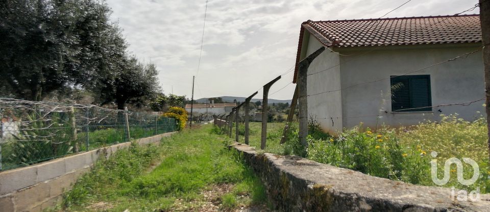 Land in Pedrógão Pequeno of 6,000 m²