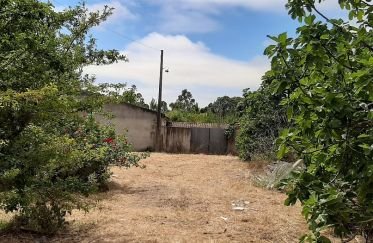 Pavillon T0 à Caldas da Rainha - Santo Onofre e Serra do Bouro de 560 m²