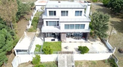 Maison T5 à Tomar (São João Baptista) e Santa Maria dos Olivais de 787 m²