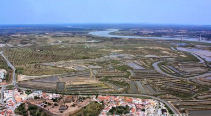 Terrain à Castro Marim de 257 180 m²