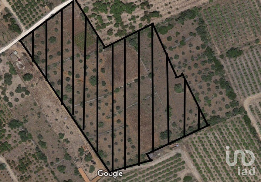 Terrain agricole à Silves de 23 600 m²