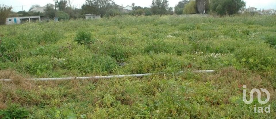Terrain agricole à Azoia de Cima e Tremês de 22 920 m²