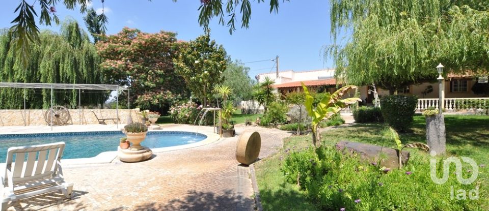 Farm T5 in Ourique of 534 m²