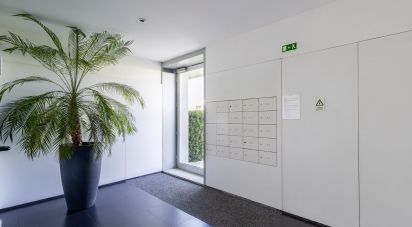 Appartement T2 à Arcozelo de 137 m²