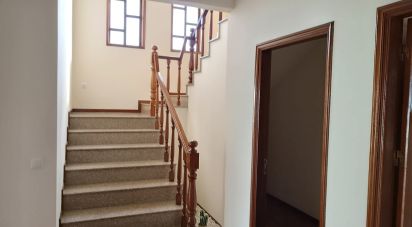 Maison traditionnelle T3 à Termas de São Vicente de 205 m²