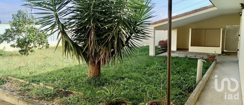 Traditional house T3 in Termas de São Vicente of 205 m²