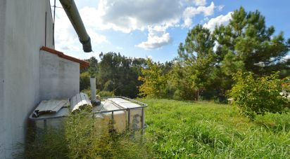 Maison de village T3 à Poiares (Santo André) de 177 m²