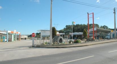 Surface diverse T0 à Azoia de Cima e Tremês de 2 150 m²