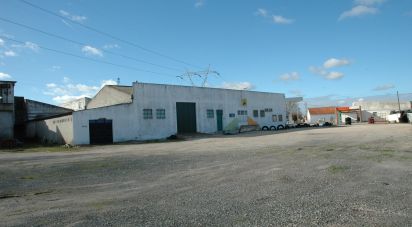 Surface diverse T0 à Azoia de Cima e Tremês de 2 150 m²