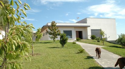 Casa / Villa T5 em Chamusca e Pinheiro Grande de 454 m²