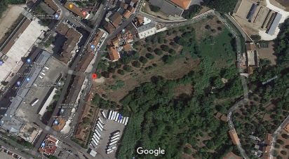 Terrain à Torres Novas (Santa Maria, Salvador e Santiago) de 12 280 m²