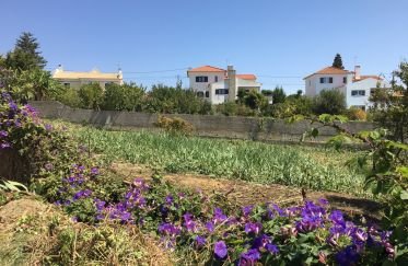 Land in Ericeira of 288 m²