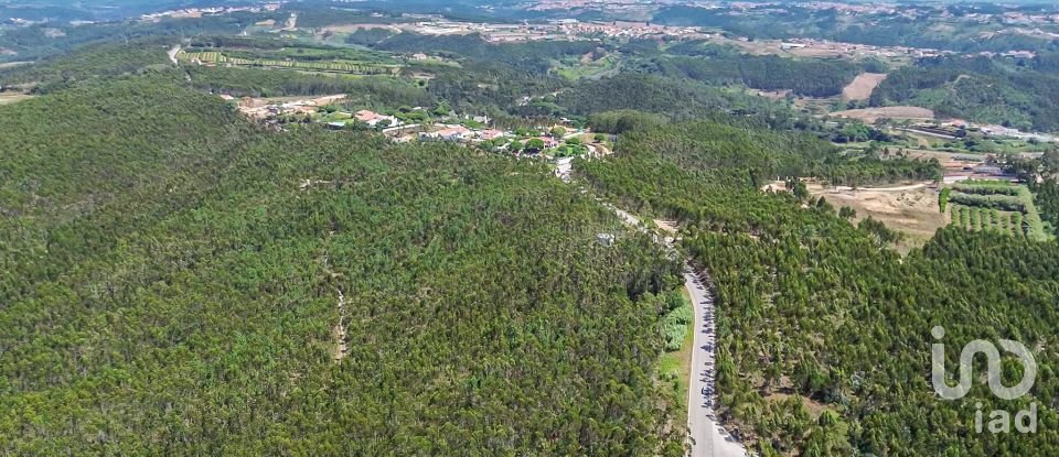 Land in Santo Isidoro of 107,196 m²