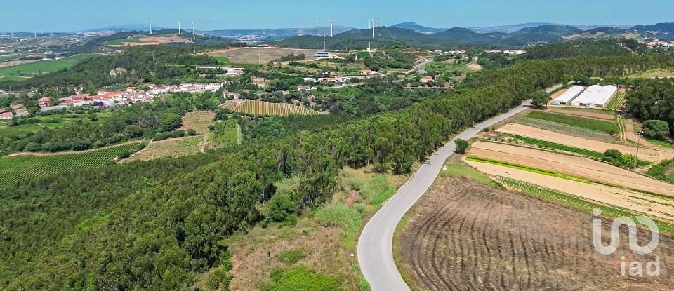 Land in Santo Isidoro of 107,196 m²