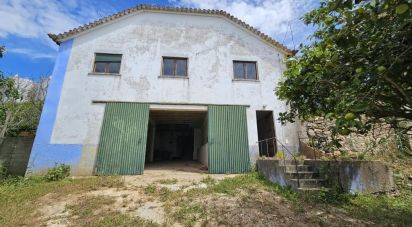 Maison de village T2 à Carvoeira e Carmões de 200 m²